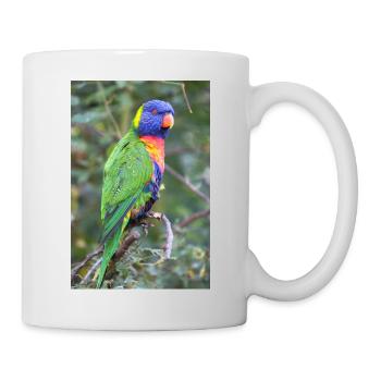 Rainbow lorikeet (Allfarblori, Trichoglossus) - Mug - white - Right