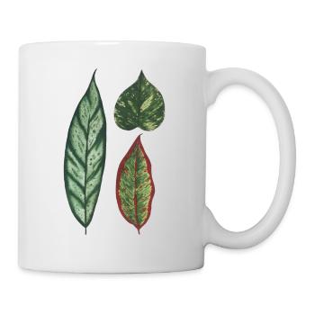 3 Blätter Philodendron Apoballis Schismatoglottis - Tasse - Weiß - Rechts