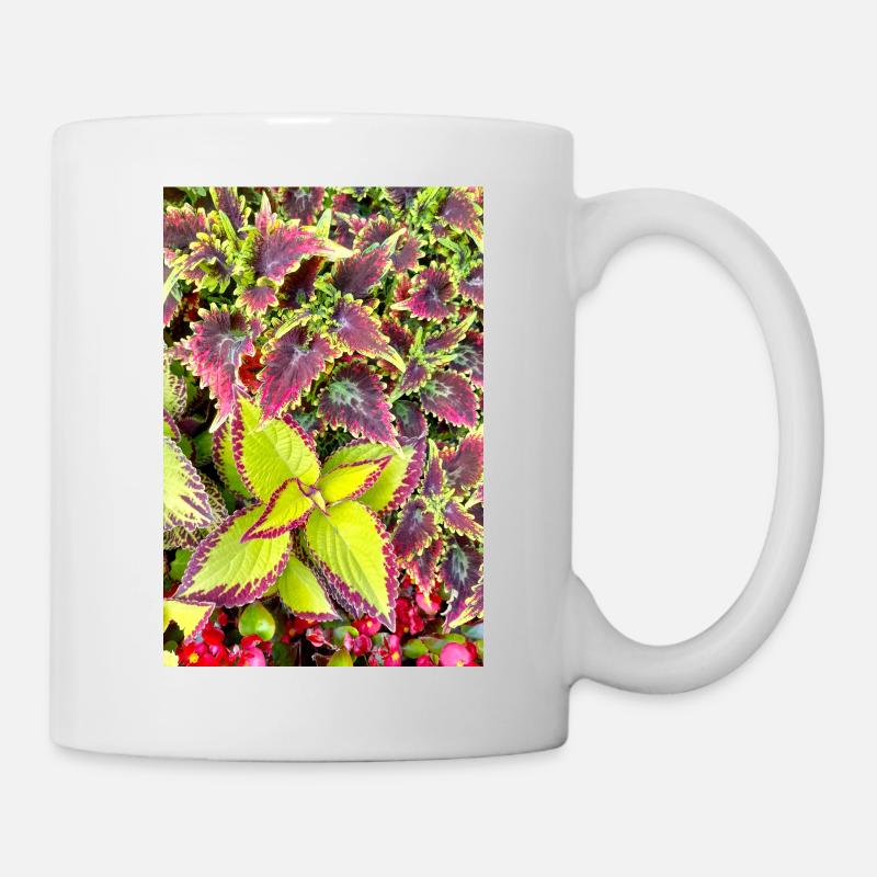 Coleus - Mug blanc - blanc