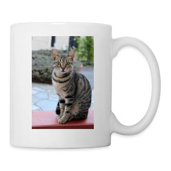 chat, chaton - Mug blanc - blanc - Droite