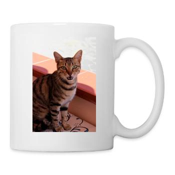 chat, chaton - Mug blanc - blanc - Droite