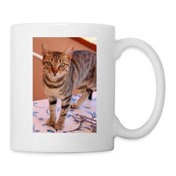 Katze, Kätzchen - Tasse - Weiß - Rechts