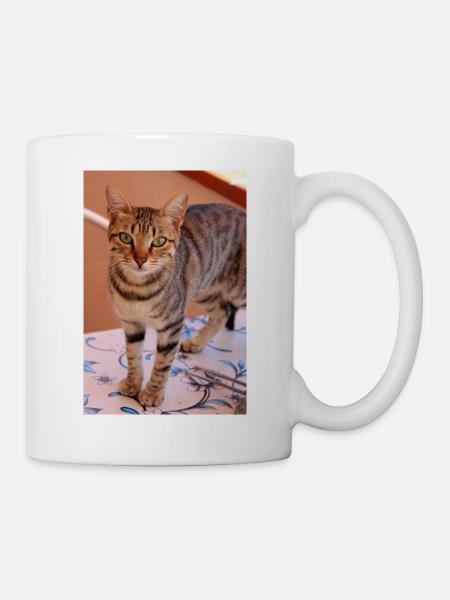 Katze, Kätzchen - Tasse - Weiß