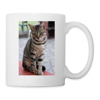 chat, chaton - Mug blanc - blanc - Droite