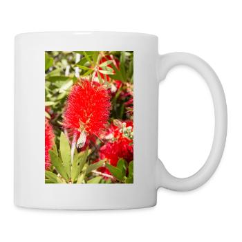 rote Flaschenbürste (Karminrote Zylinderputzer) - Tasse - Weiß - Rechts