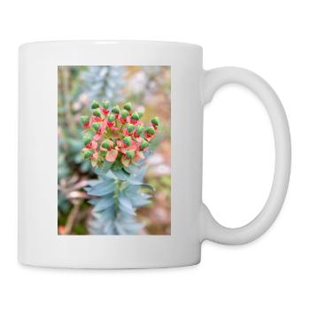 blooming colorful Wolfsmilch (Euphorbia) flower - Mug - white - Right