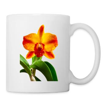 Cattleya Hybride Orange Rot Gelb Orchideenblüte - Tasse - Weiß - Rechts