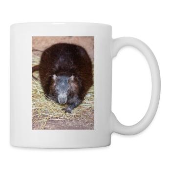 Hutia cubain aussi hutia-conga aussi huti de Desmarest - Mug blanc - blanc - Droite