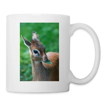 Kirk's dik-dik (in german Kirk-Dikdik Zwergrüssel - Mug - white - Right