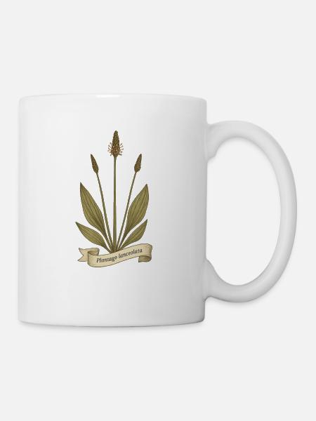 Spitzwegerich - Wildkraut Vintage Design - Tasse - Weiß