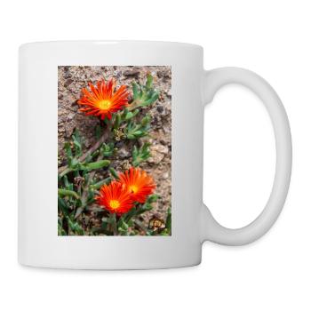 plante de glace rampante rustique plante de glace Delosperma - Mug blanc - blanc - Droite