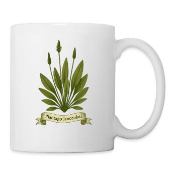 Plantago lanceolata | Botanisches Wildkraut-Design - Tasse - Weiß - Rechts