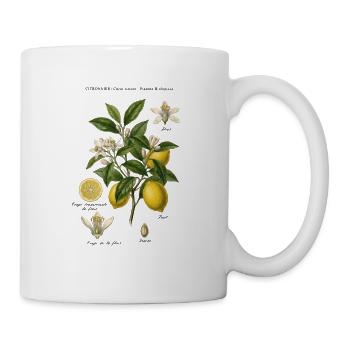 Vintage Lemon Tree Botanical Board - Mug - white - Right