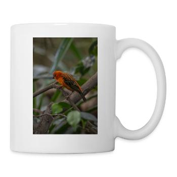 Ein leuchtend orangefarbener tropischer Vogel, der auf einem Baumkleie sitzt - Tasse - Weiß - Rechts