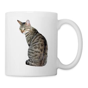 Cat, Kitten, Tiger Cat - Mug - white - Right