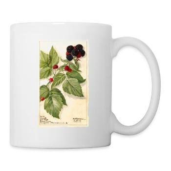 brombée jardin rouge baies illustration vintage - Mug blanc - blanc - Droite