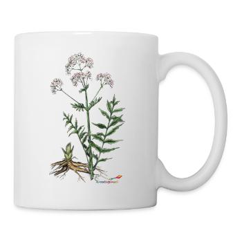 Baldrian (Valeriana officinalis) - Tasse - Weiß - Rechts