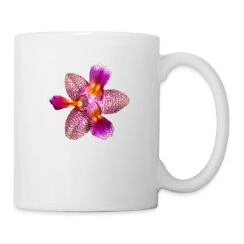Phalaenopsis Joie Conte de fées pélorique Fleur d’orchidée - Mug blanc - blanc - Droite