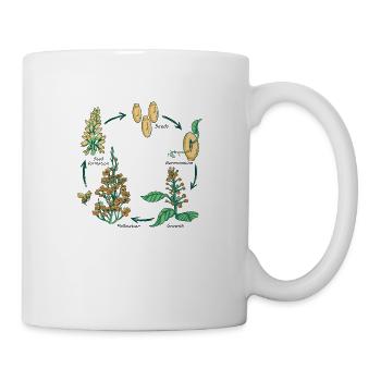 Flowers and Plant Life Cycle - Mug - white - Right
