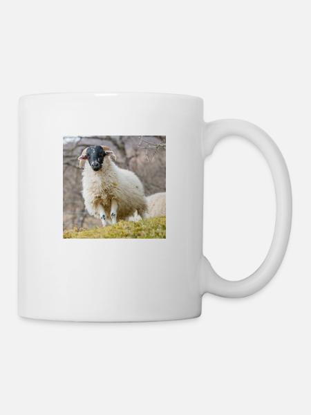Schaf Ovis in Irland - Tasse - Weiß