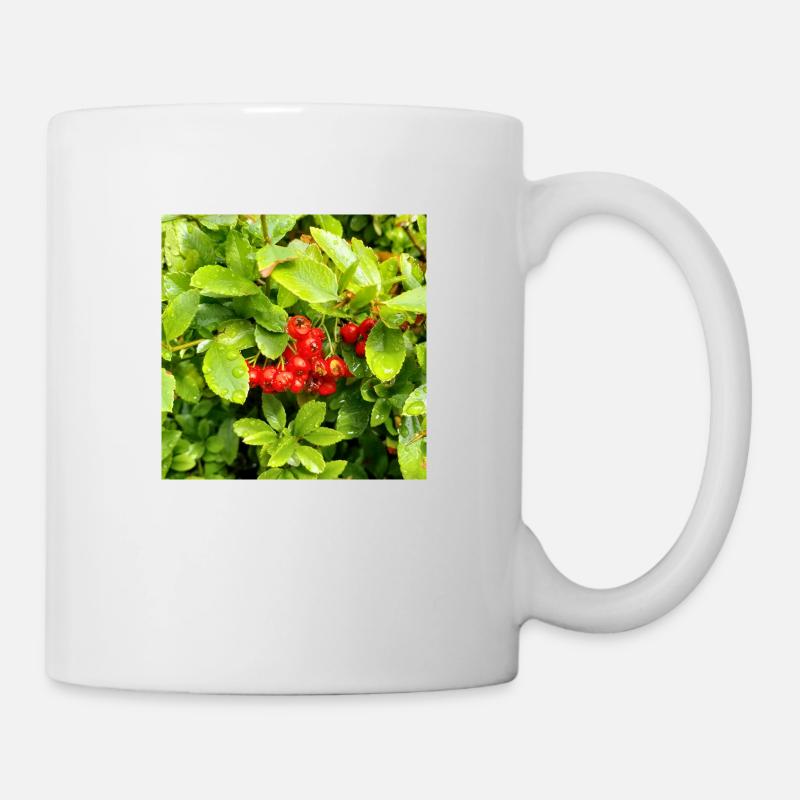 Mediterranean Firethorn / Pyracantha coccinea - Mug - white