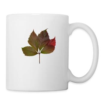 Herbstblatt, Autumn Leaf - Tasse - Weiß - Rechts