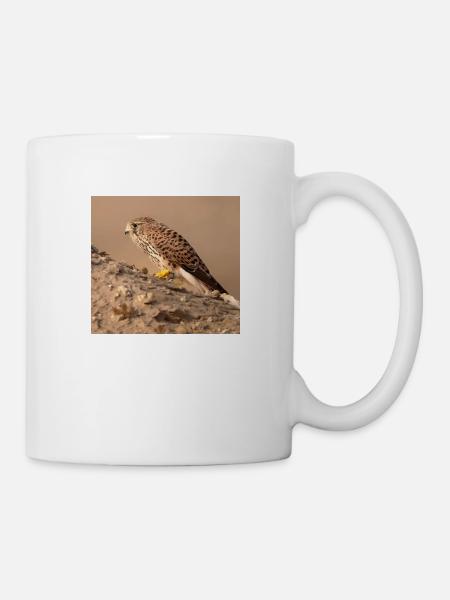 Eagle in desert - Mug - white