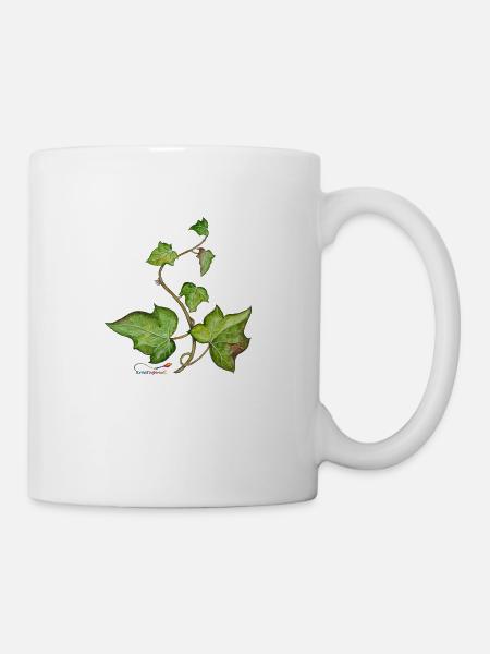 Efeu (Hedera helix) - Tasse - Weiß
