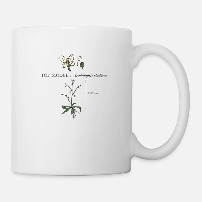 Arabidopsis thaliana - Mug - white