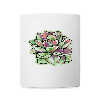 Echeveria Fettblattrosette Sukkulente - Tasse - Weiß - Vorne