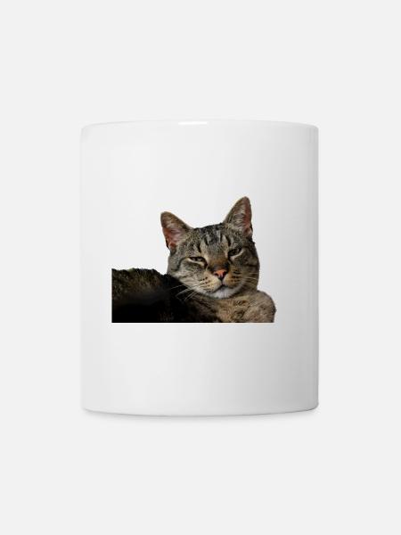 Katze Kätzchen - Tasse - Weiß