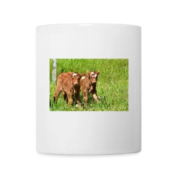 Calves on Eifel meadows - Mug - white - Front