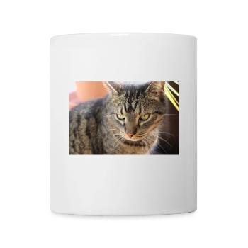 Affiche Chat Chaton, Affiche Chat Tigre - Mug blanc - blanc - Devant