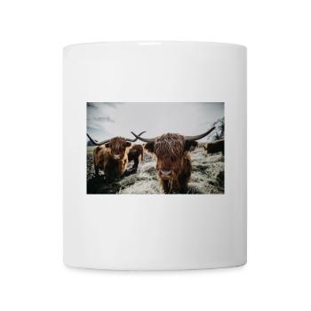 Schottisches Hochlandrind - Tasse - Weiß - Vorne
