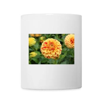 Yellow Dahlia Blossom Flower Poster - Mug - white - Front
