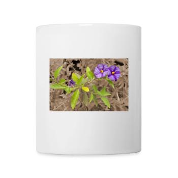 Lycianthes / Gentian Bush in Sepia - Mug - white - Front