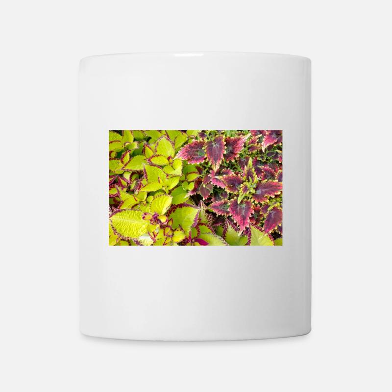 Coleus Color Play Leaves / Nettle - Mug - white