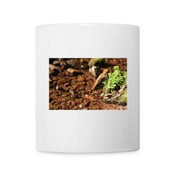 Kleiner Waldbach am Stein - Mug - white - Front