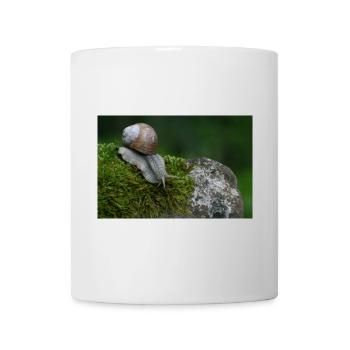 Snail on moss rock - Mug - white - Front