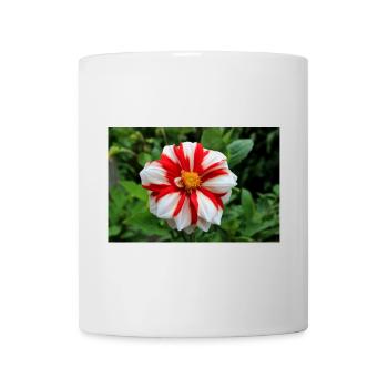 Dahlia White Red Blossom ,Flower - Mug - white - Front