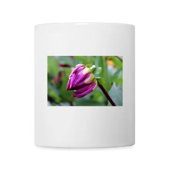 Dahlie rot violett Blüte ,Blume - Tasse - Weiß - Vorne