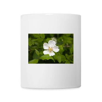 Feld-Rose - Tasse - Weiß - Vorne