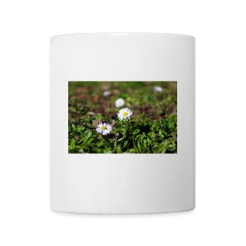 Gänseblümchen - Tasse - Weiß - Vorne