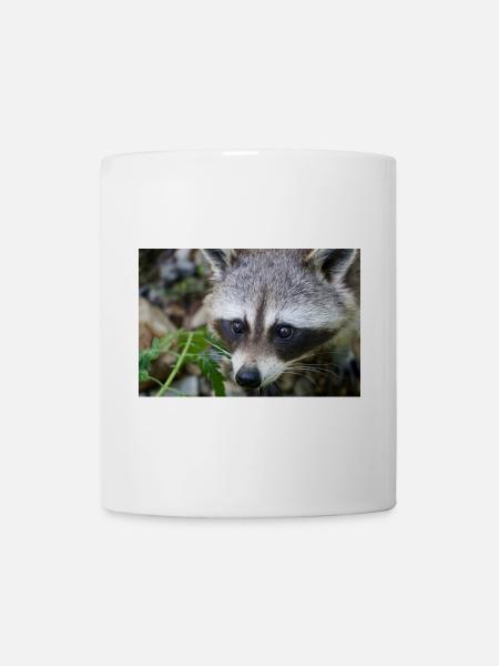 Raton laveur - Mug blanc - blanc