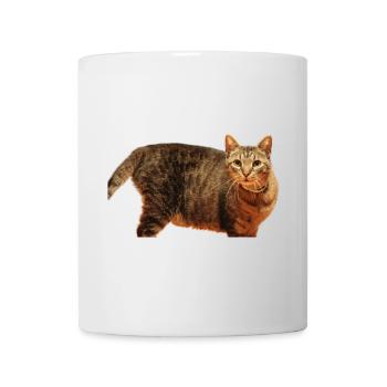 Cat Kitten - Mug - white - Front