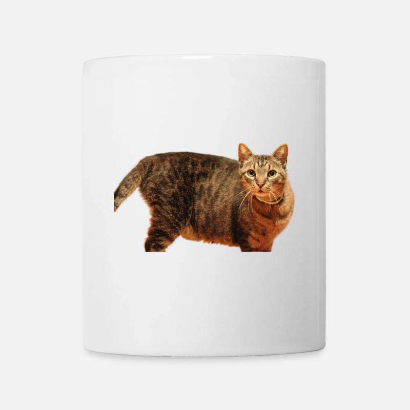 Katze Kätzchen - Tasse - Weiß