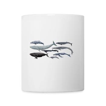 Baleines - Baleines - Baleines - mysticètes - Mug blanc - blanc - Devant