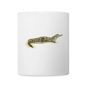 Baba (Caiman crocodilus) - Mug - white - Front