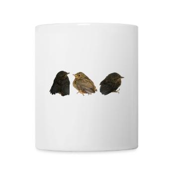 Robin Branches - Mug - white - Front