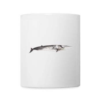 Fin whale Balaenoptera physalus - Mug - white - Front